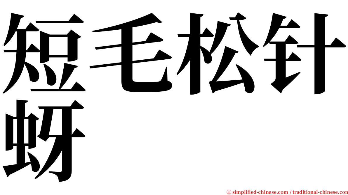 短毛松针蚜 serif font