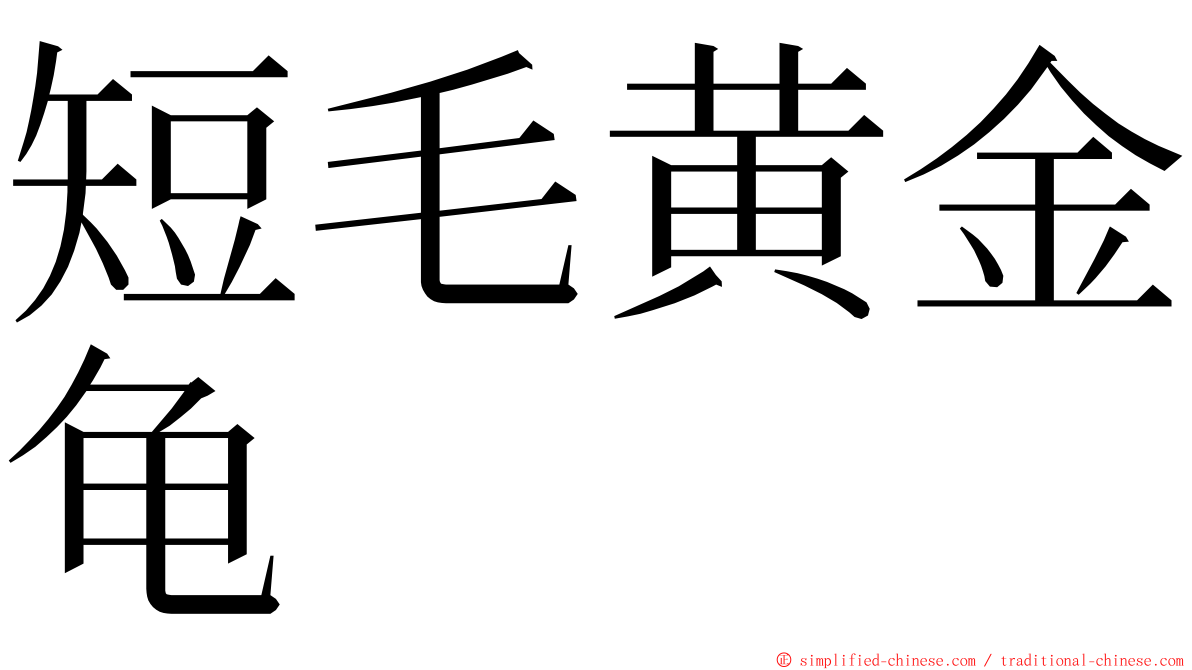 短毛黄金龟 ming font
