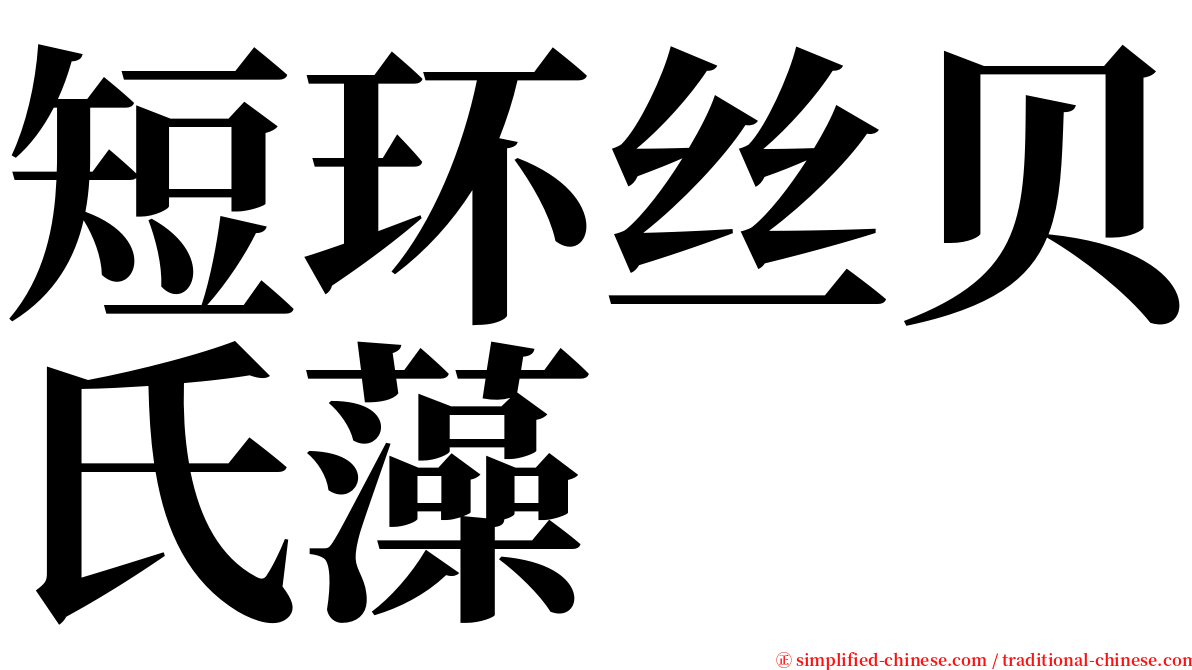 短环丝贝氏藻 serif font