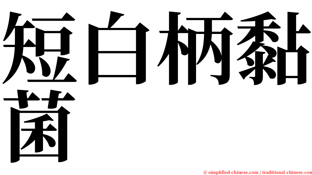 短白柄黏菌 serif font