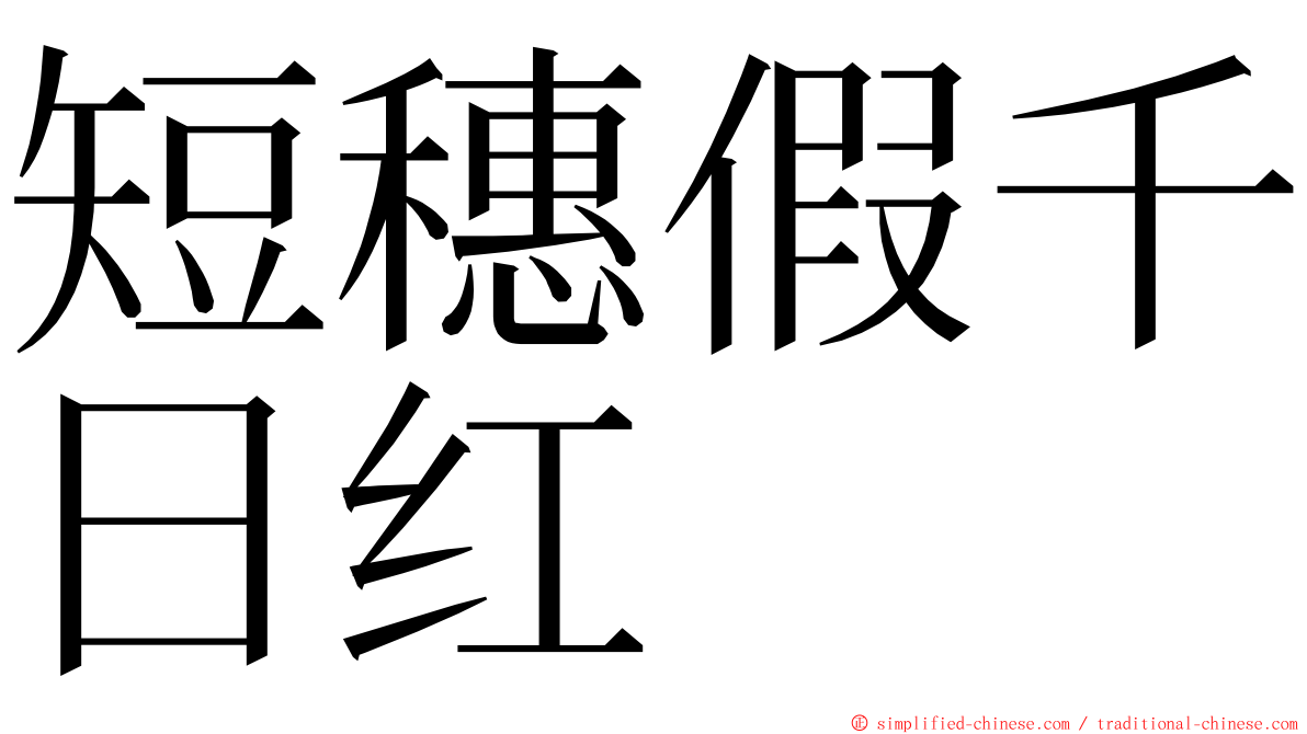 短穗假千日红 ming font