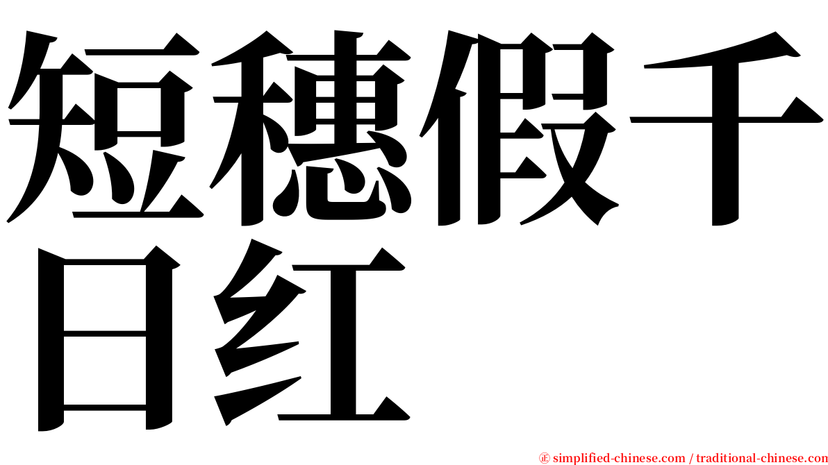 短穗假千日红 serif font