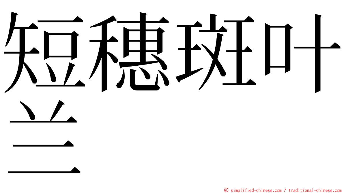 短穗斑叶兰 ming font