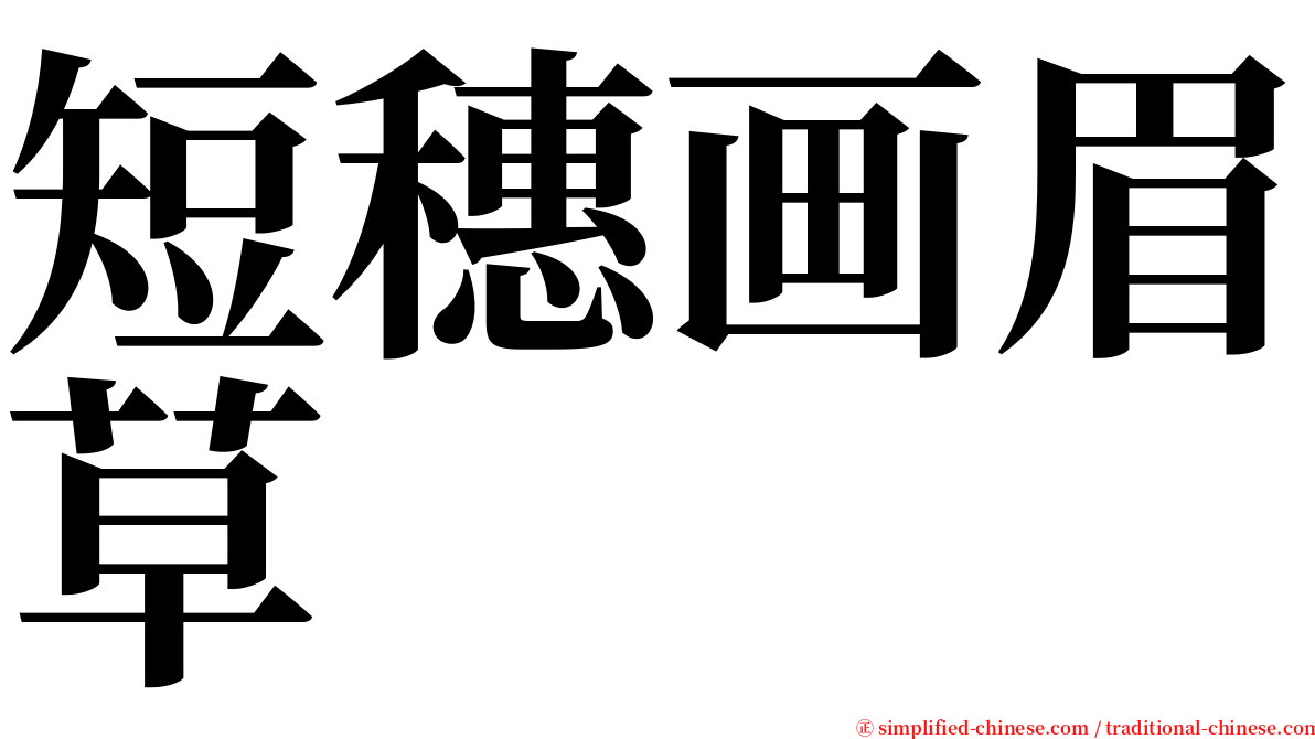 短穗画眉草 serif font