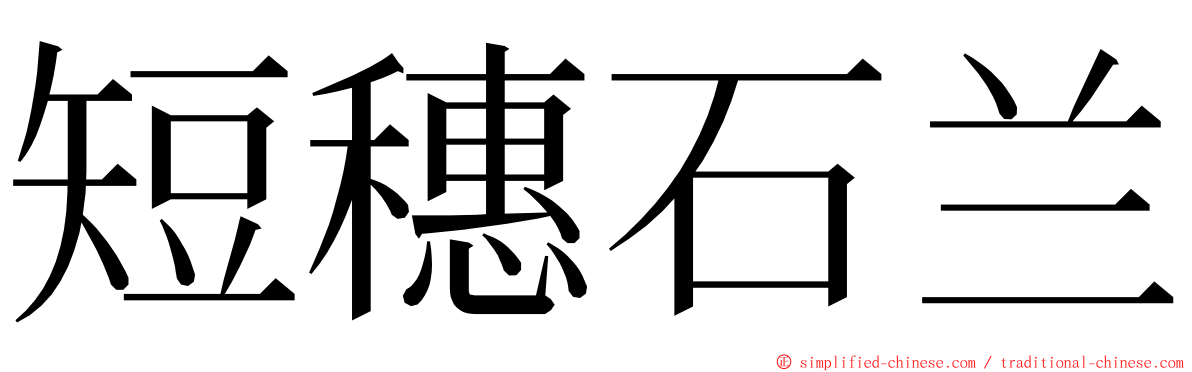 短穗石兰 ming font