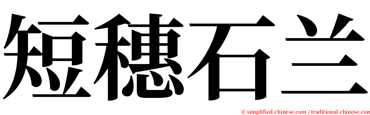 短穗石兰 serif font