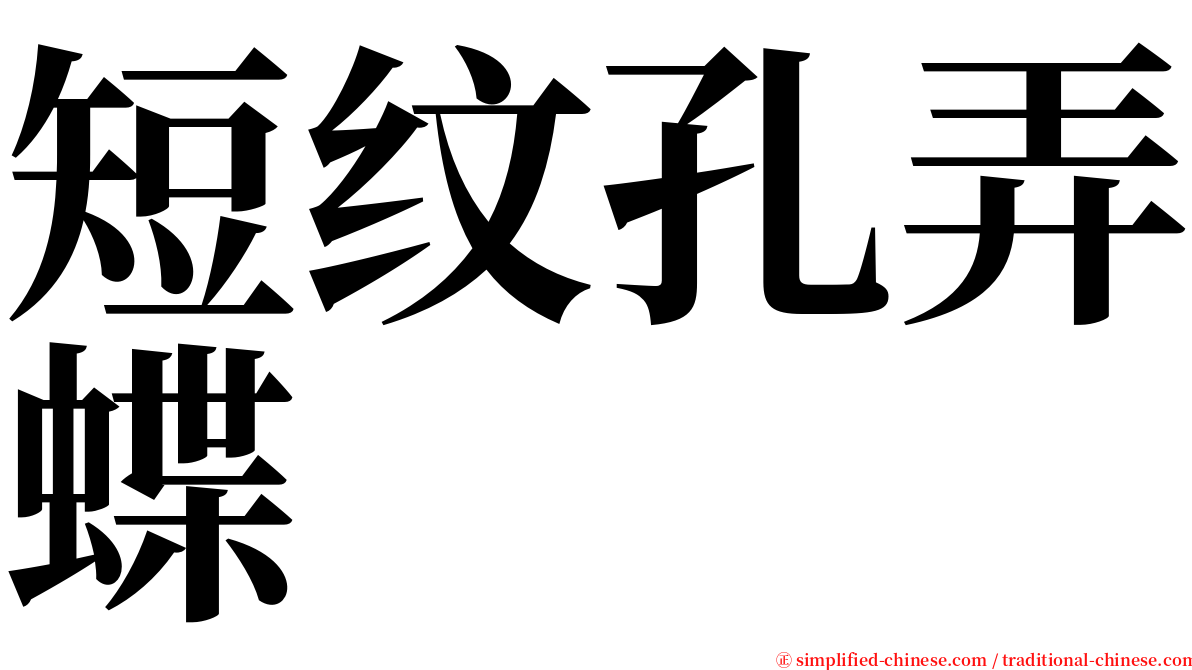 短纹孔弄蝶 serif font