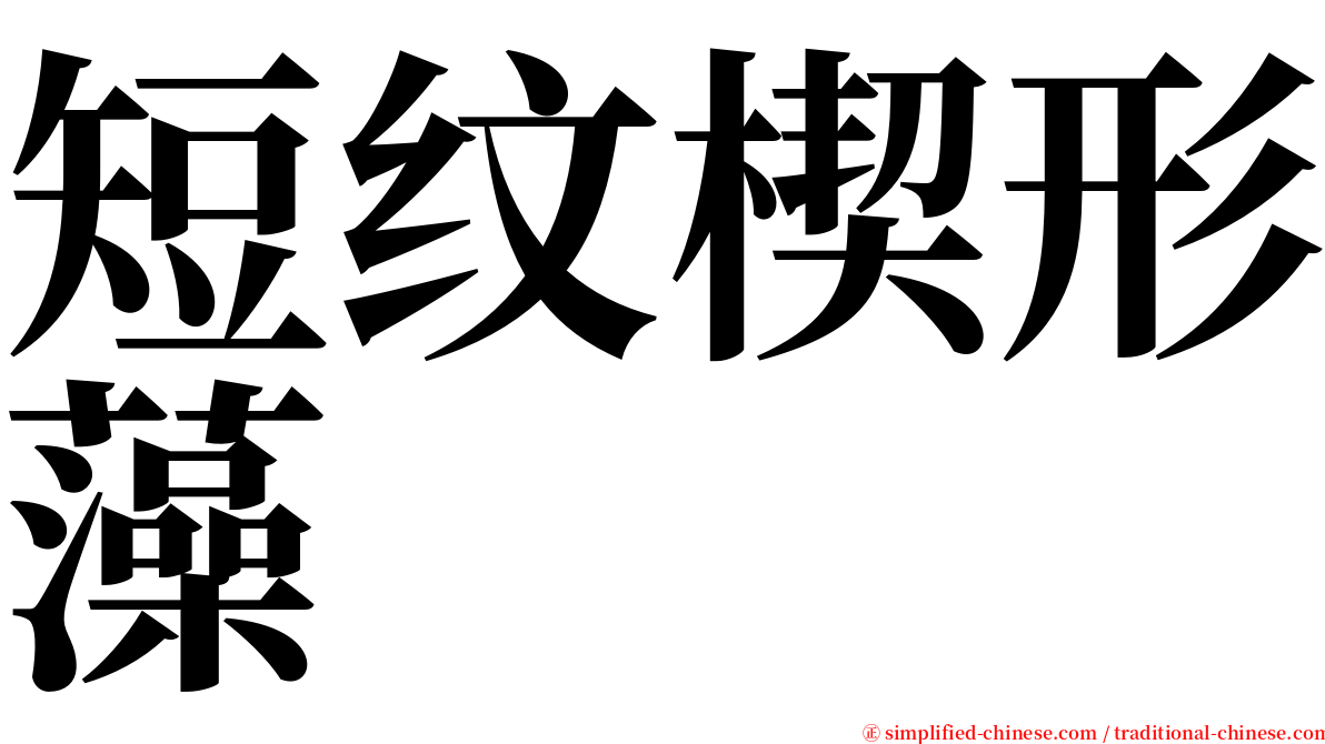 短纹楔形藻 serif font