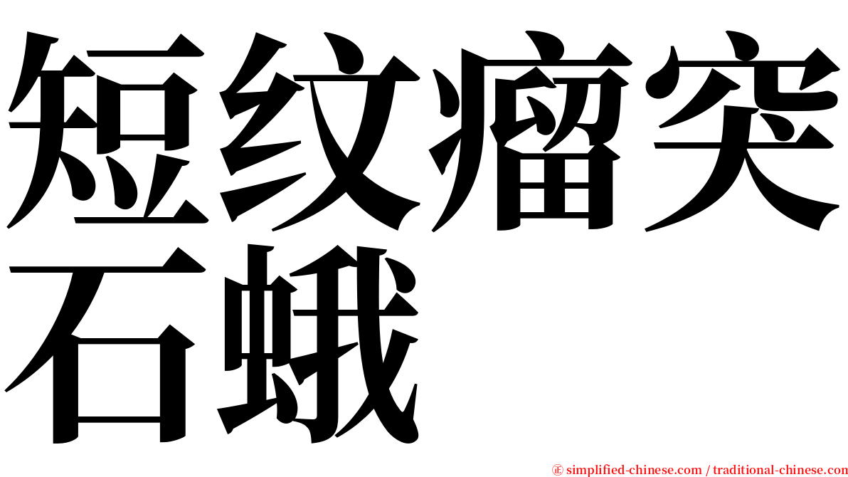 短纹瘤突石蛾 serif font