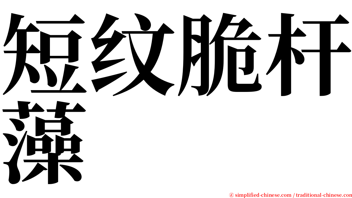 短纹脆杆藻 serif font