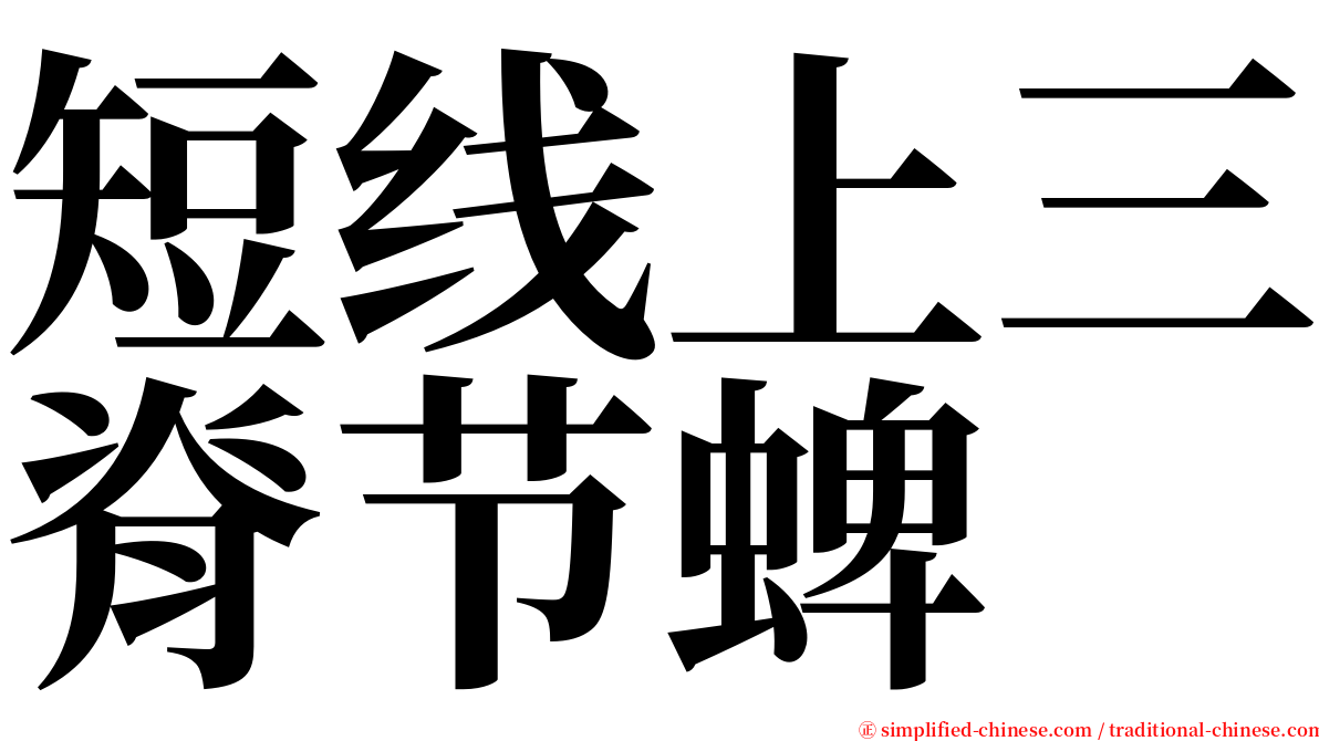 短线上三脊节蜱 serif font