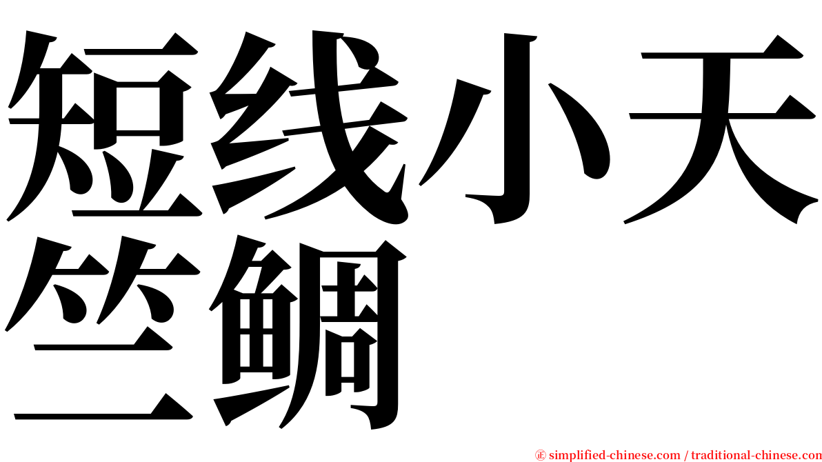 短线小天竺鲷 serif font