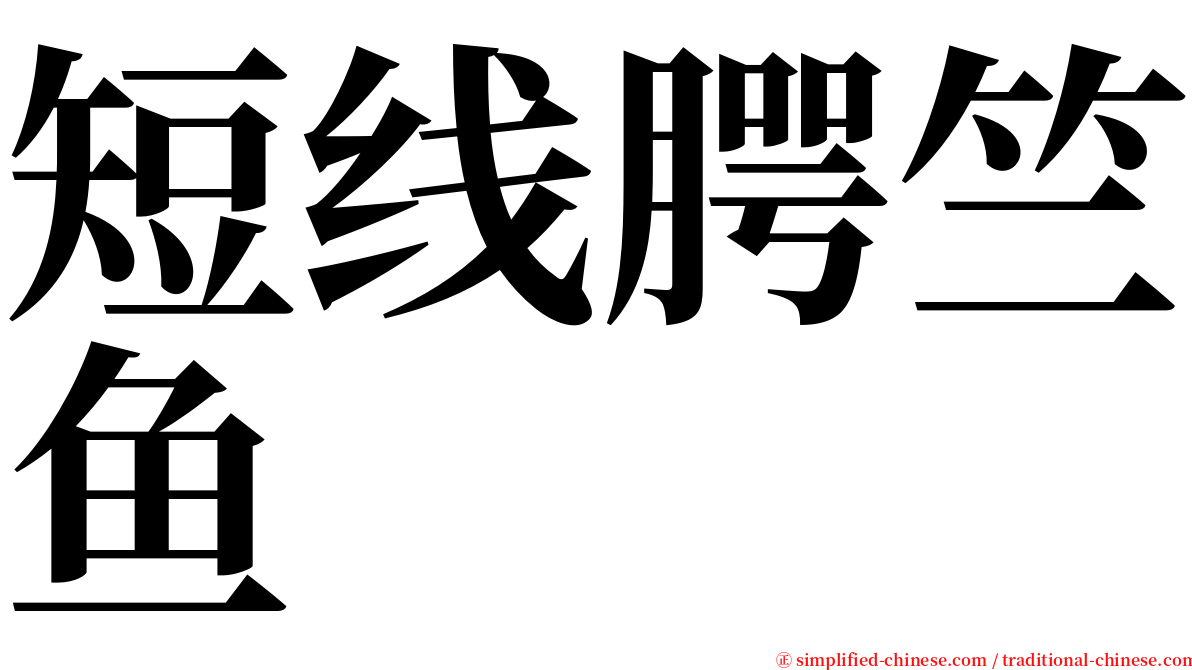 短线腭竺鱼 serif font