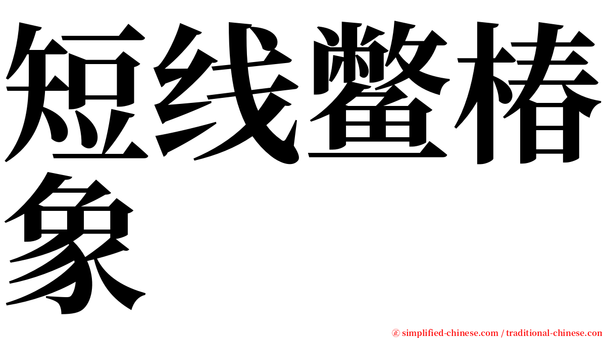 短线鳖椿象 serif font