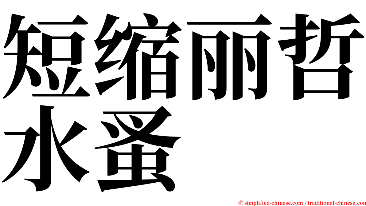 短缩丽哲水蚤 serif font