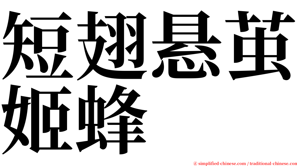 短翅悬茧姬蜂 serif font