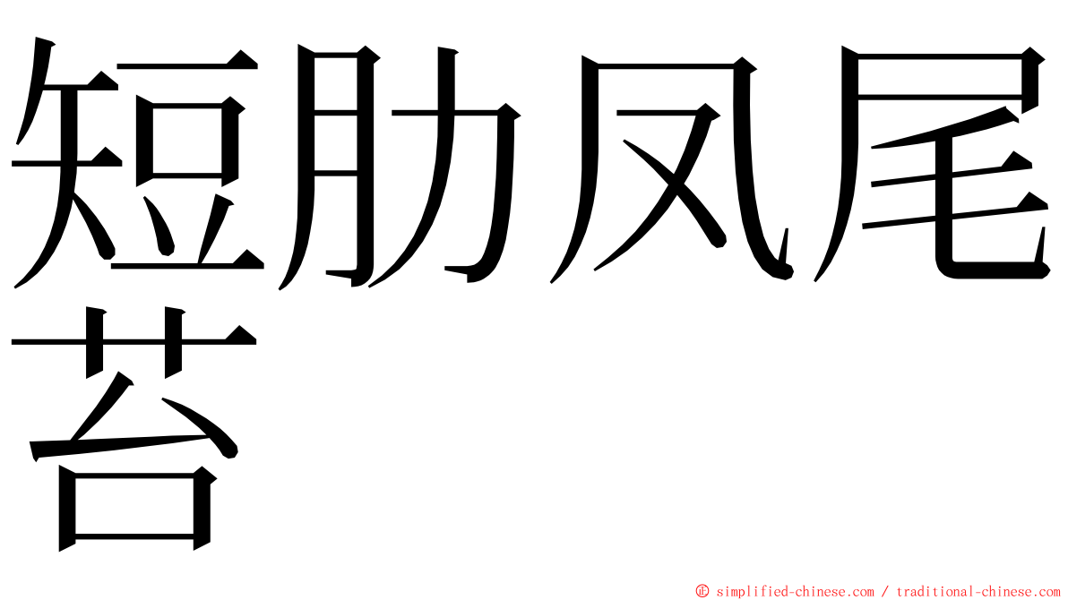 短肋凤尾苔 ming font