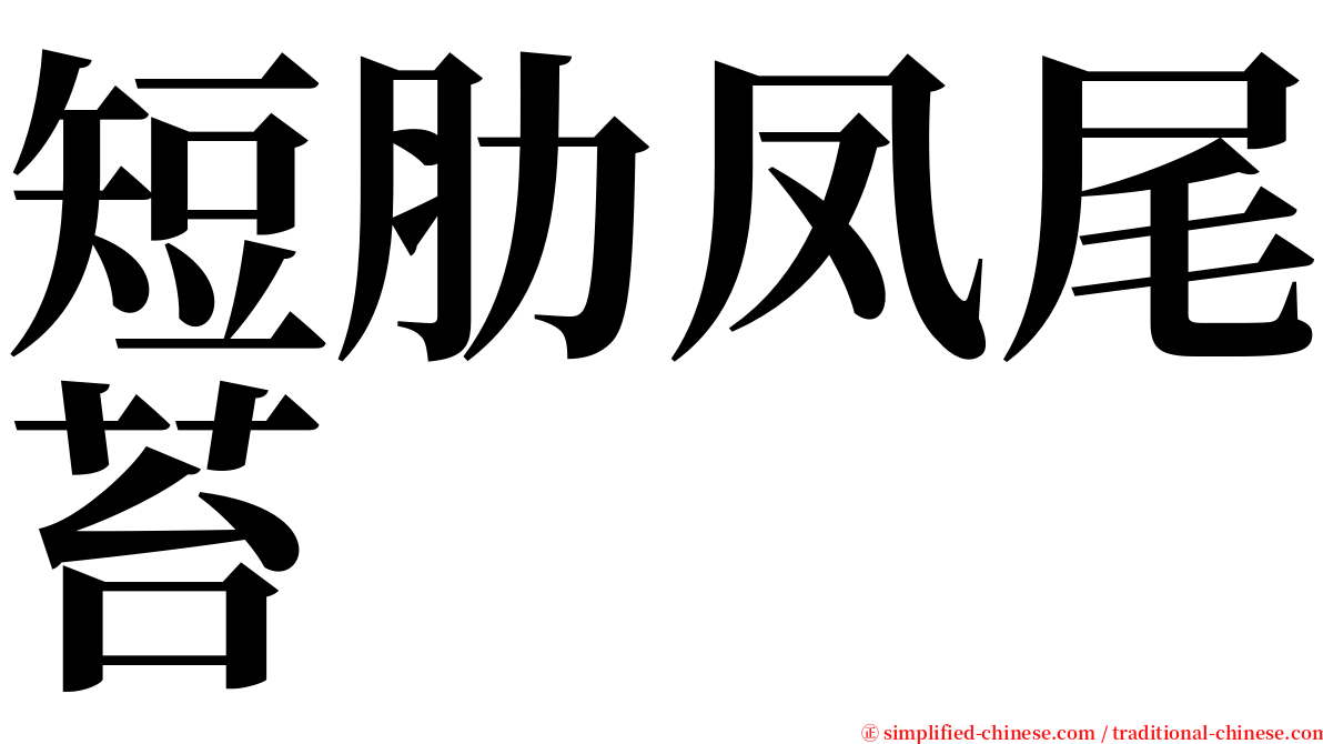 短肋凤尾苔 serif font