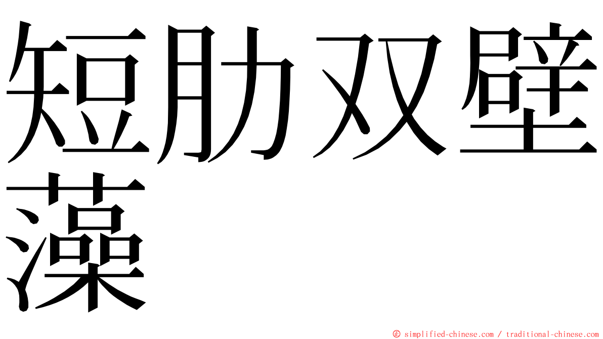 短肋双壁藻 ming font