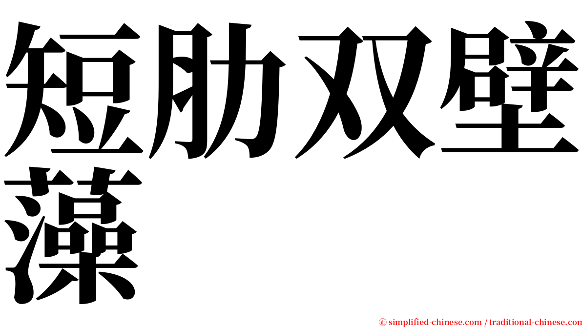 短肋双壁藻 serif font