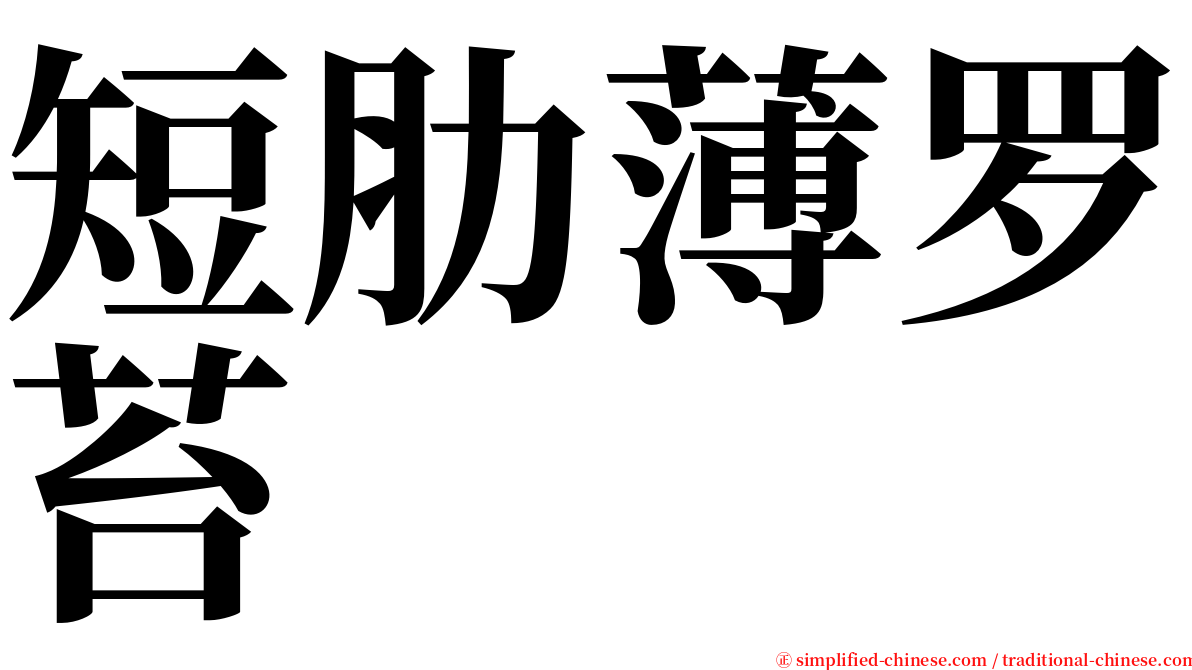 短肋薄罗苔 serif font