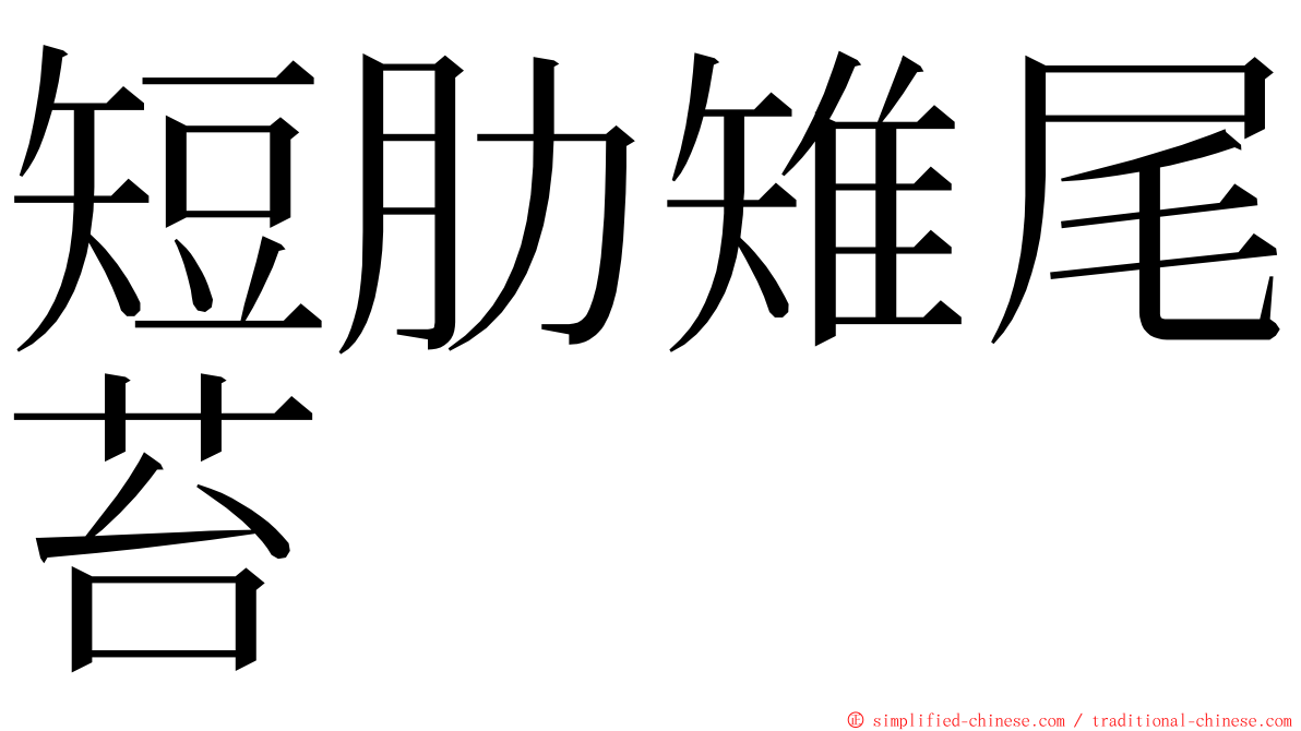 短肋雉尾苔 ming font