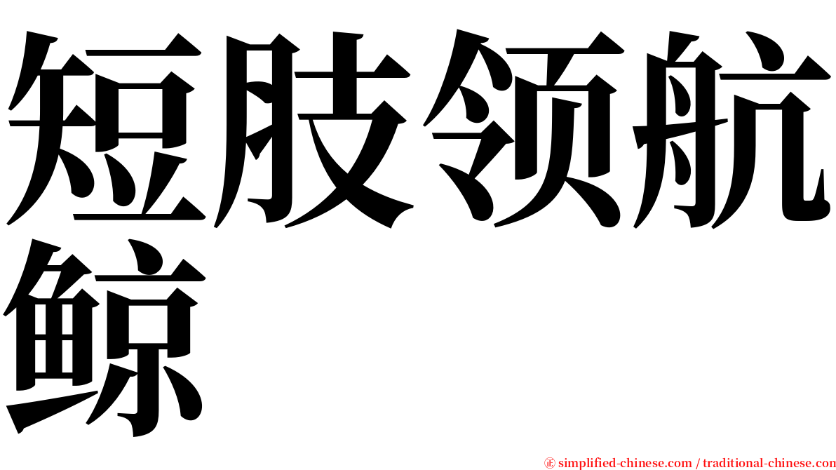 短肢领航鲸 serif font