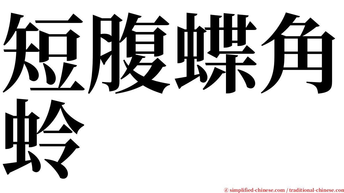 短腹蝶角蛉 serif font