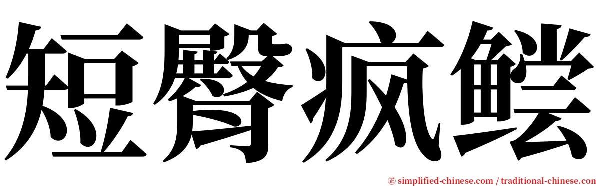 短臀疯鲿 serif font