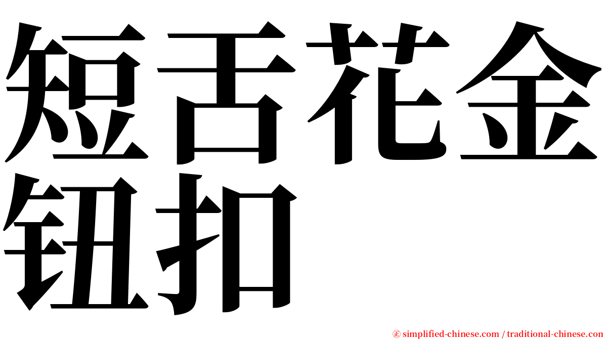 短舌花金钮扣 serif font