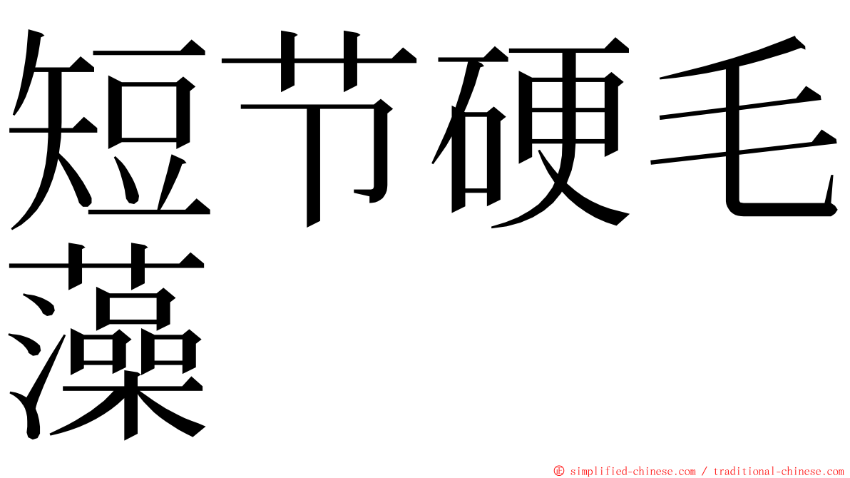 短节硬毛藻 ming font