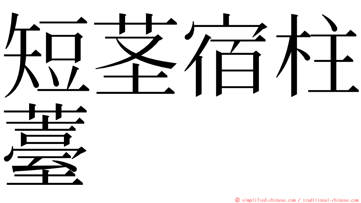 短茎宿柱薹 ming font