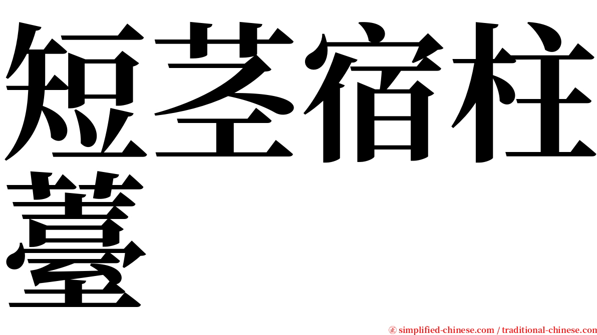 短茎宿柱薹 serif font