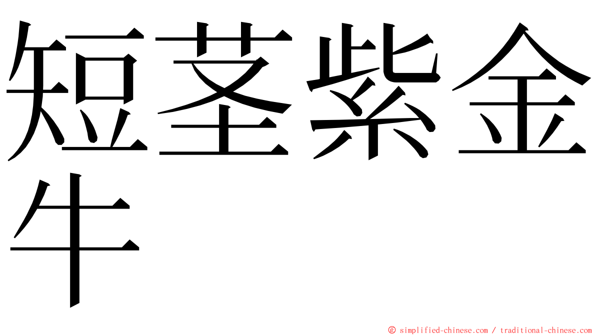 短茎紫金牛 ming font