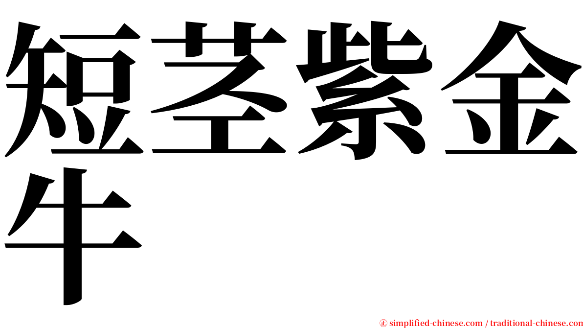 短茎紫金牛 serif font