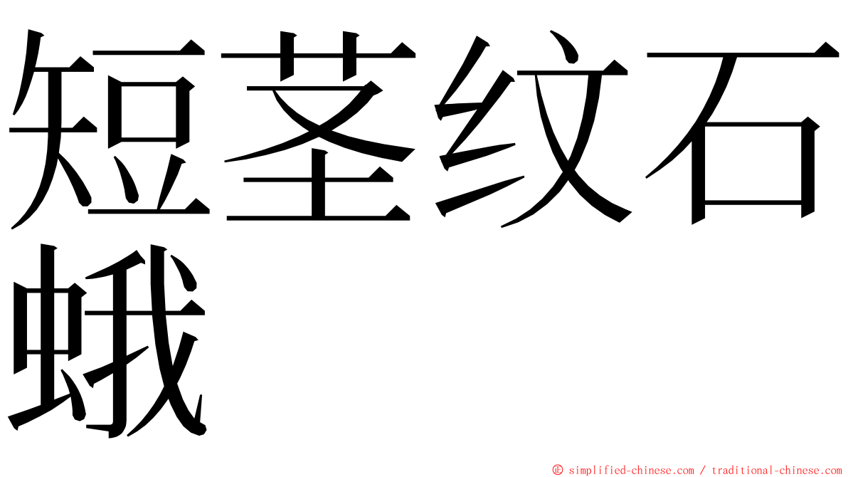 短茎纹石蛾 ming font