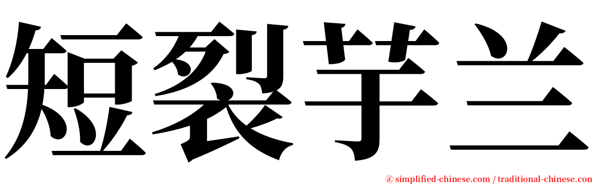 短裂芋兰 serif font