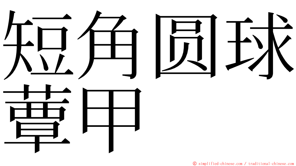 短角圆球蕈甲 ming font