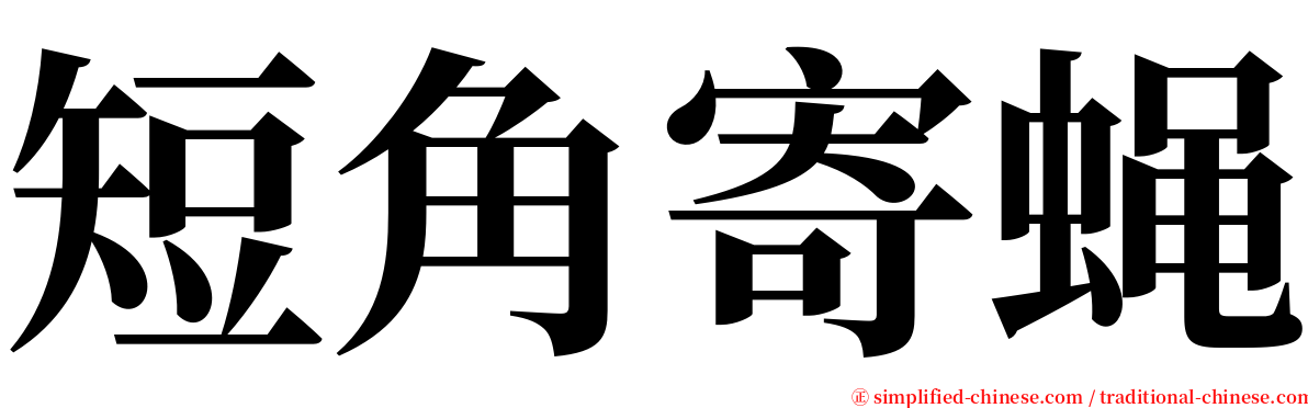 短角寄蝇 serif font