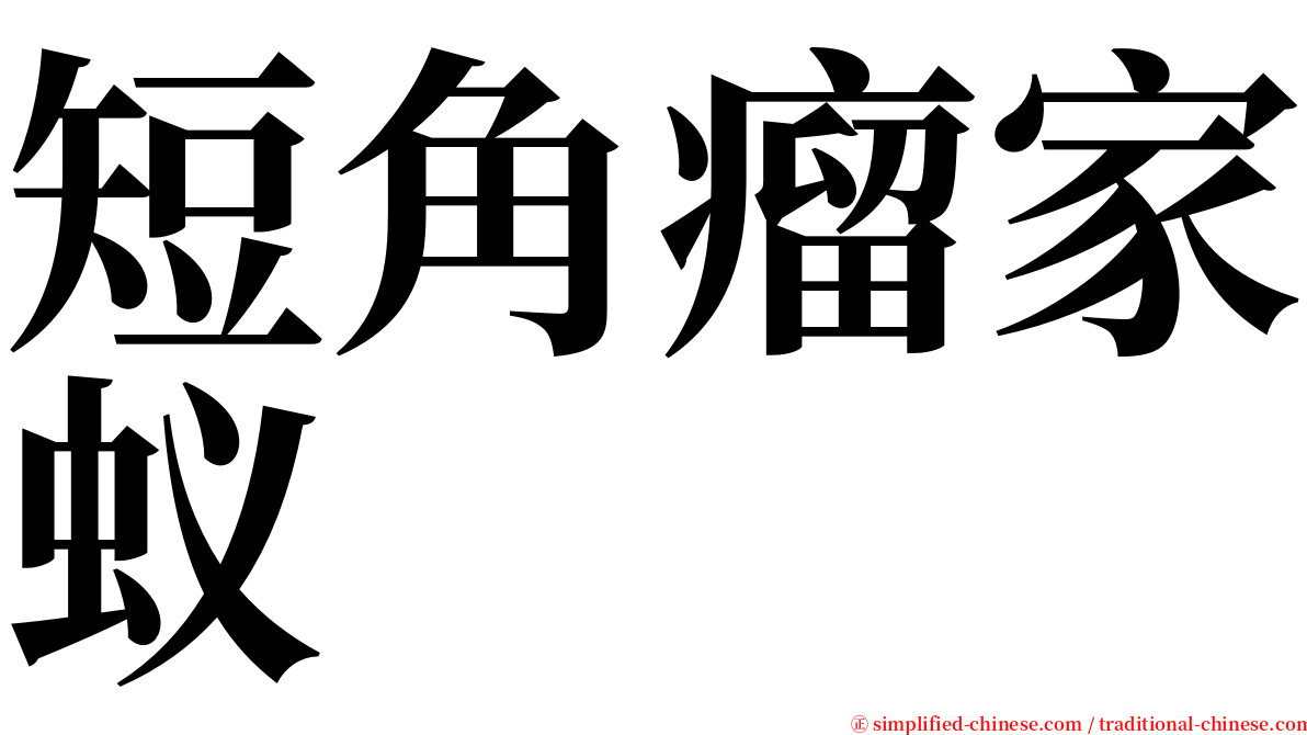 短角瘤家蚁 serif font