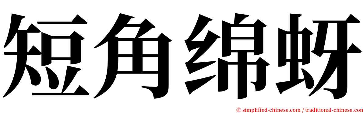 短角绵蚜 serif font