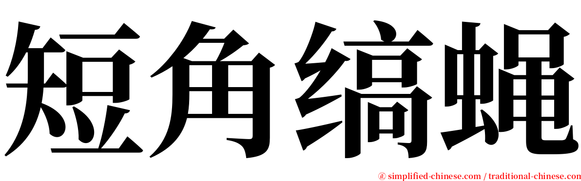 短角缟蝇 serif font