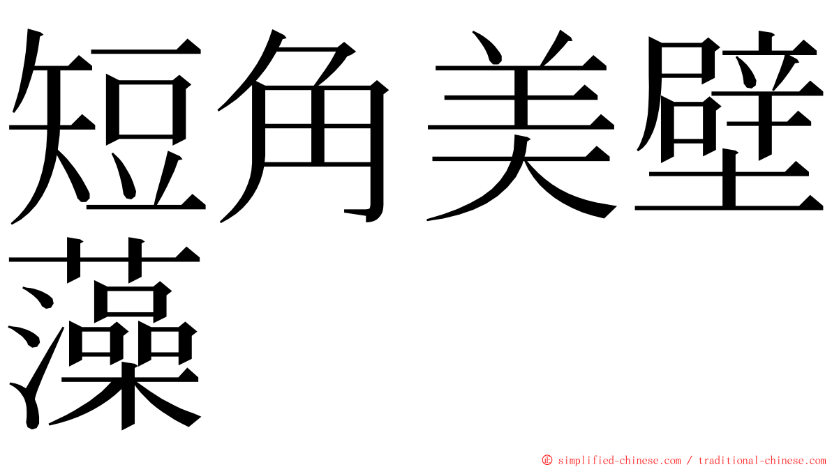 短角美壁藻 ming font