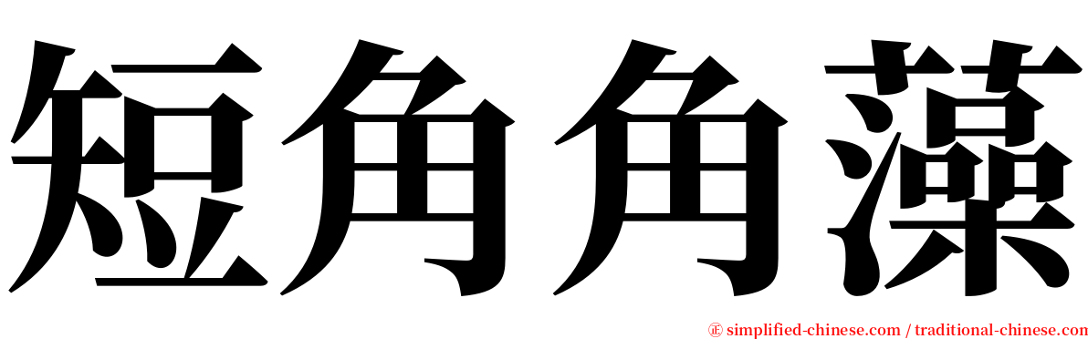 短角角藻 serif font