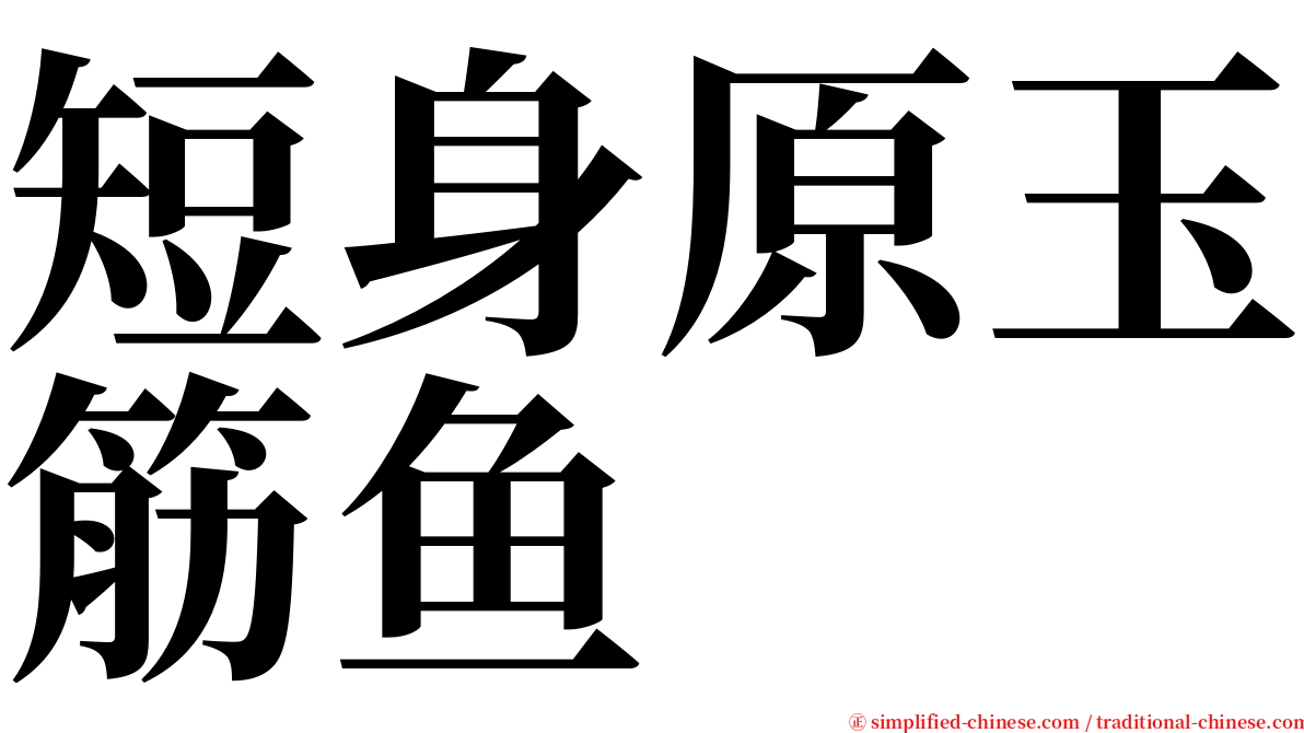 短身原玉筋鱼 serif font