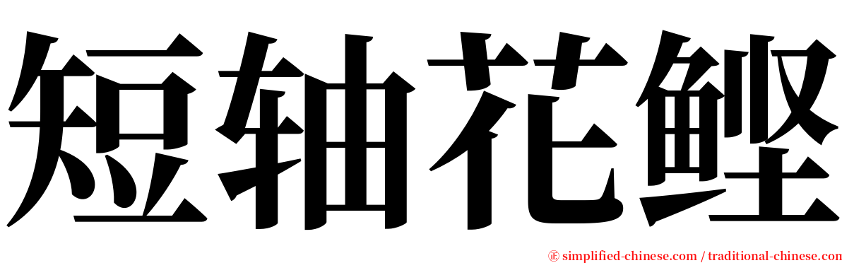 短轴花鲣 serif font