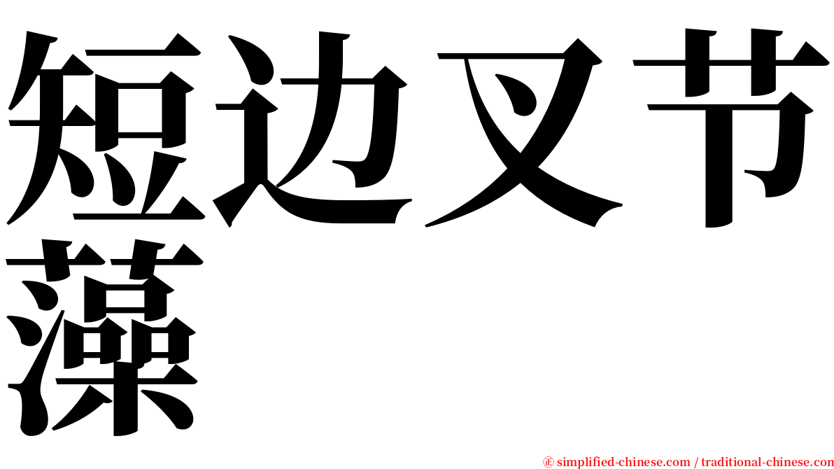 短边叉节藻 serif font