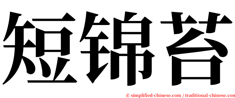 短锦苔 serif font