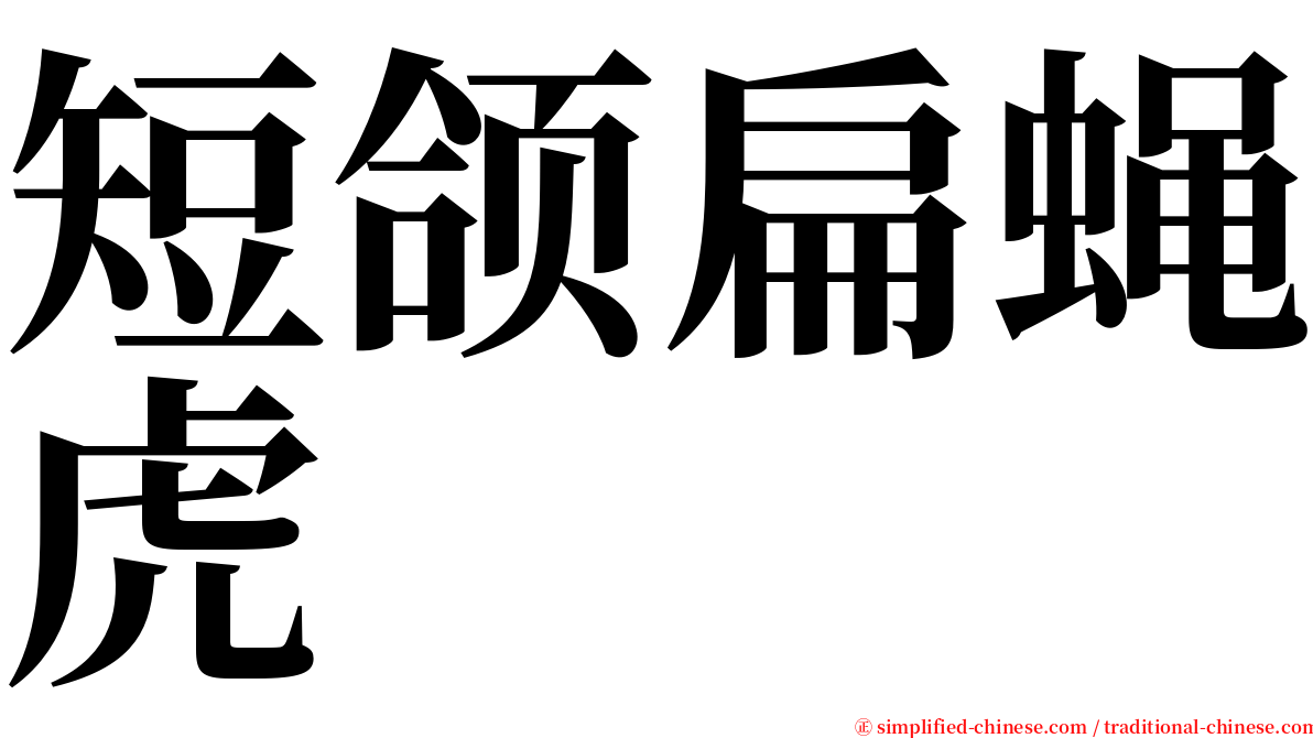 短颌扁蝇虎 serif font