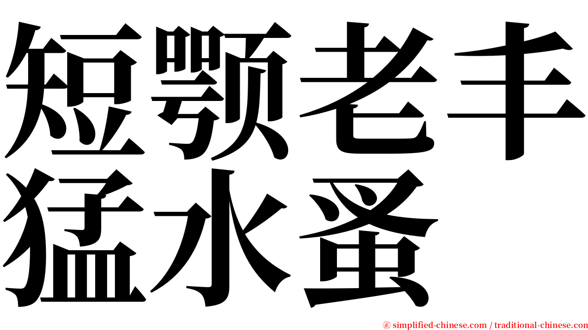 短颚老丰猛水蚤 serif font